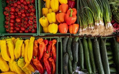 Was ist der Unterschied von Lebensmittel und Nahrungsmittel?