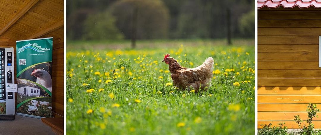 Eierautomat Unterensingen