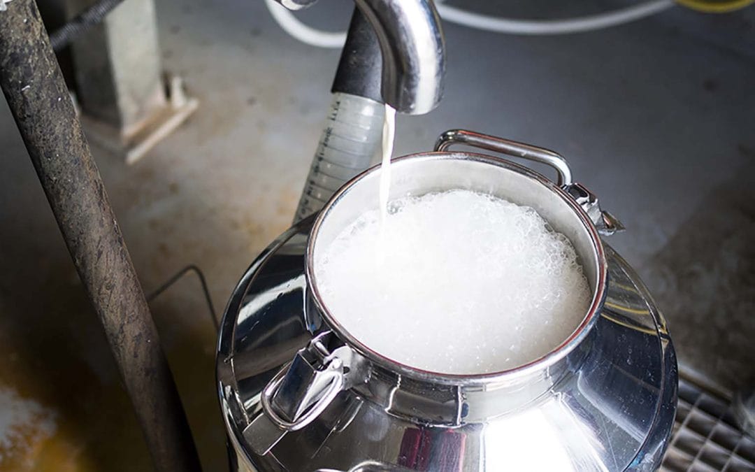 Was heißt frische Milch?